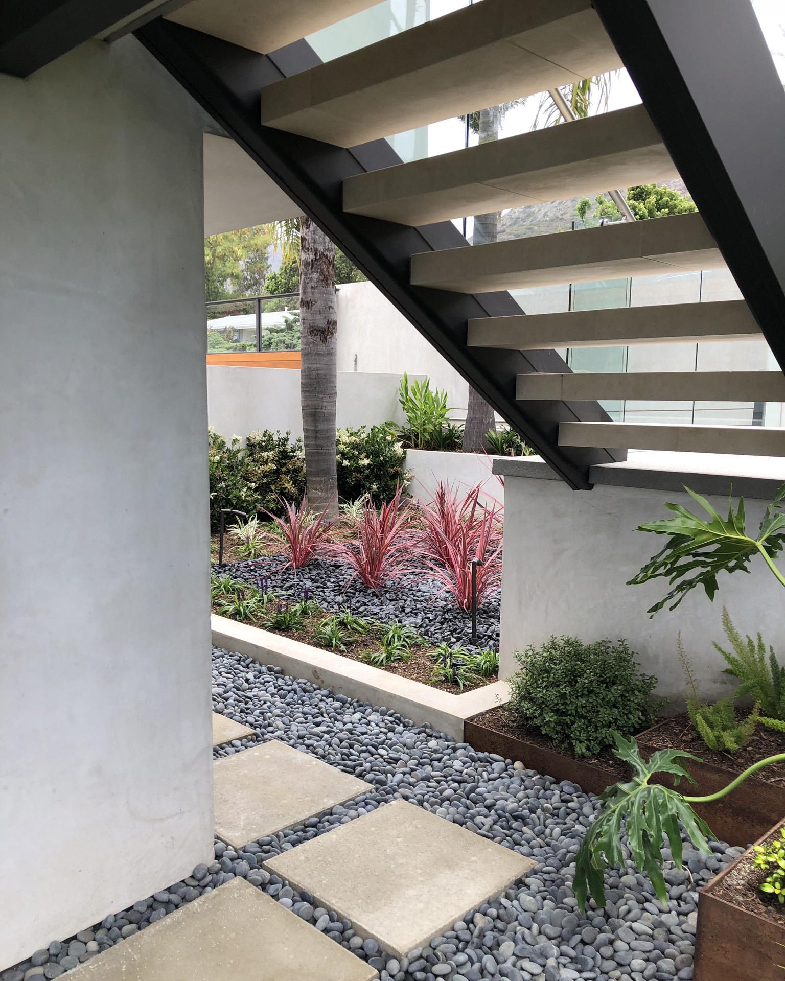 Cordyline Entry Planter