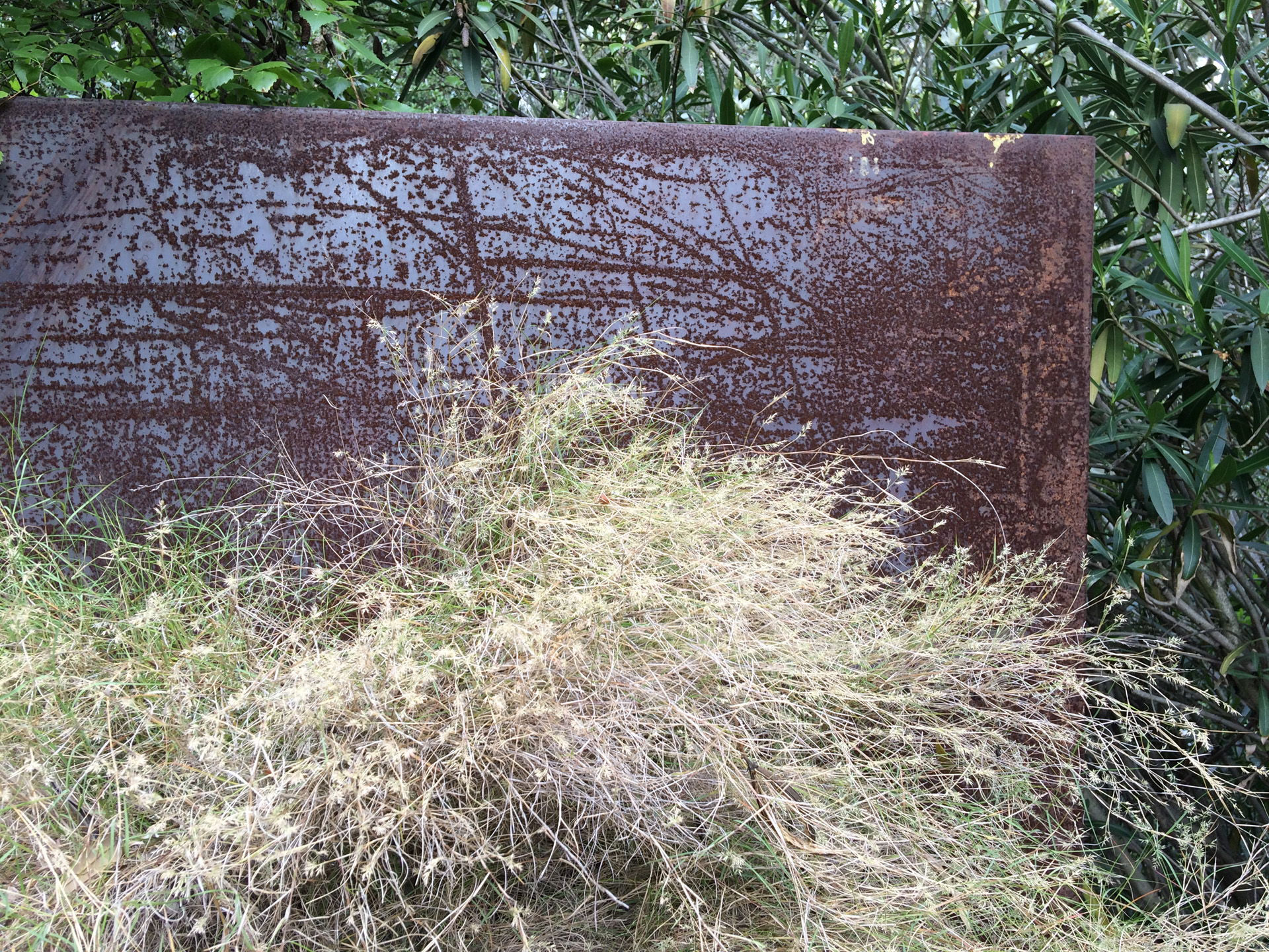 Corten Screen Wall 2