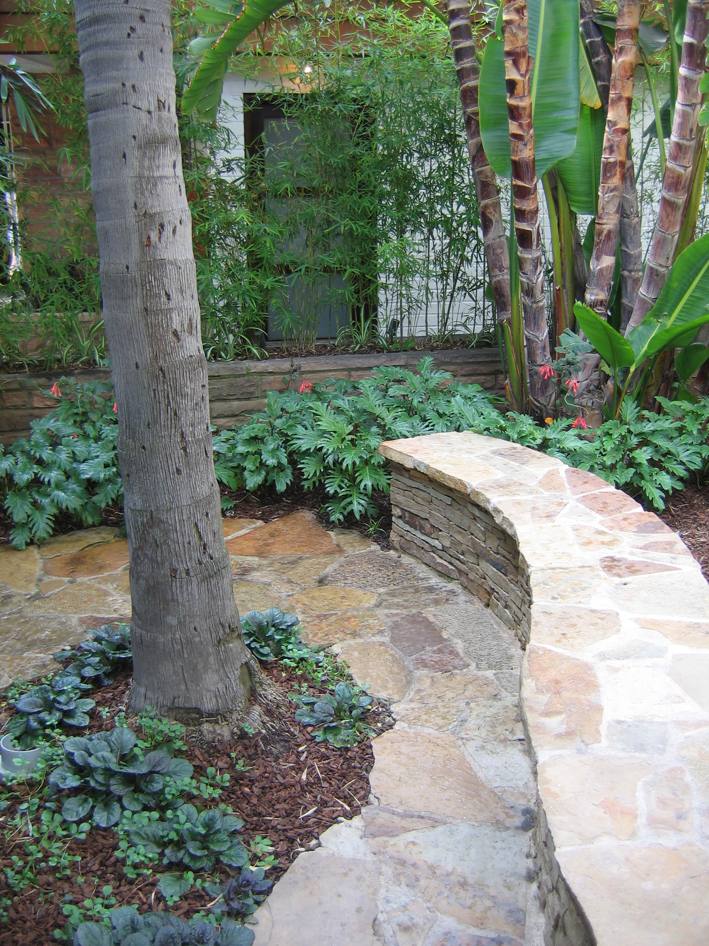Stone wall planting