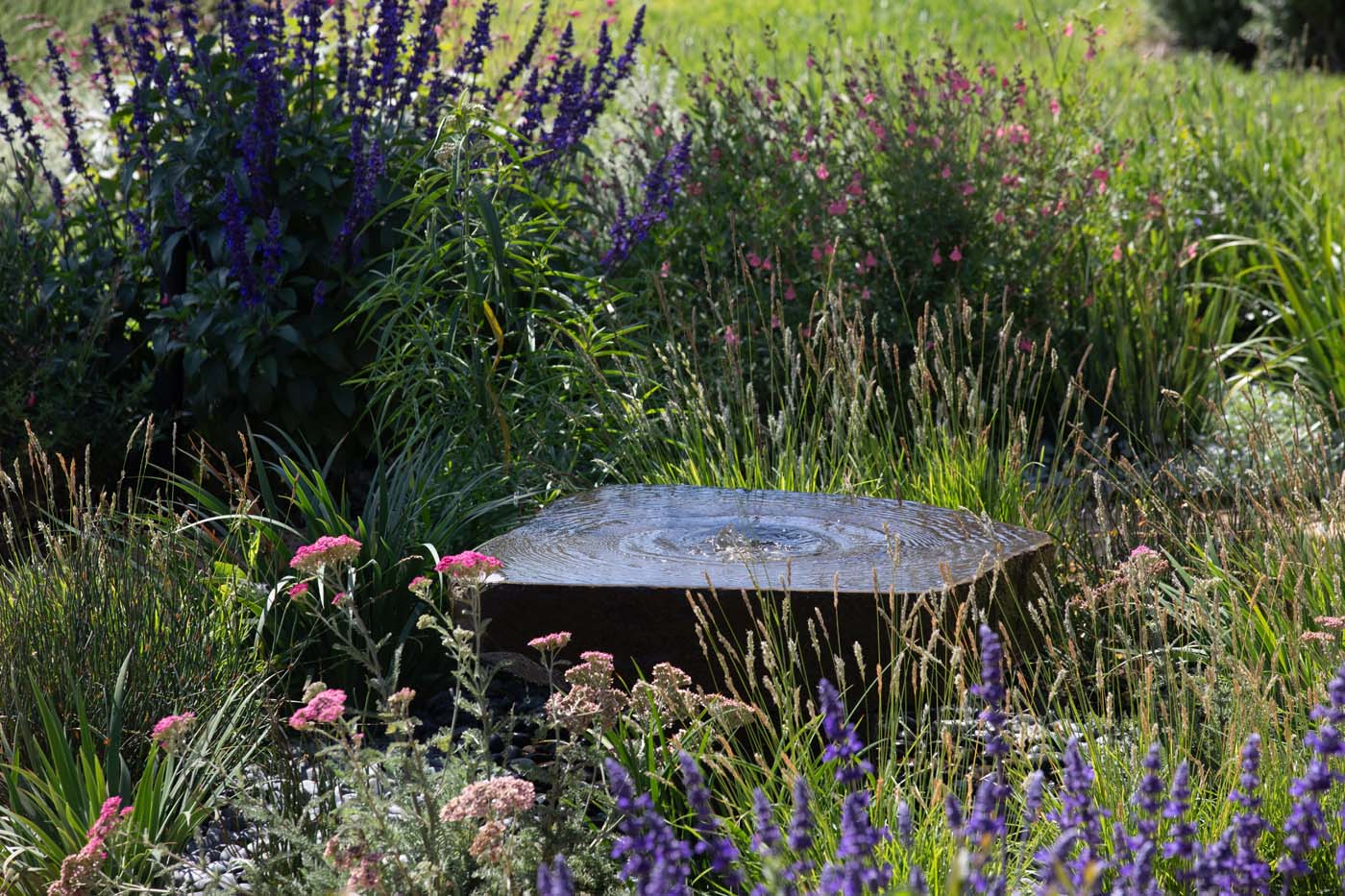 Timothy John LA - Hollywood Hills - Private residence 046