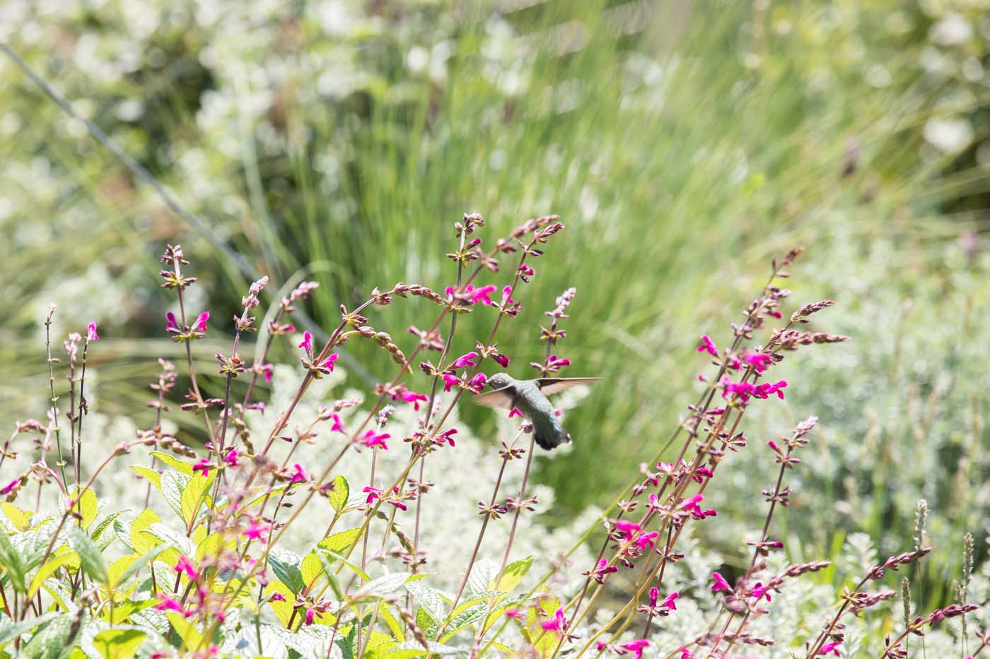 Timothy John LA - Hollywood Hills - Private residence 054