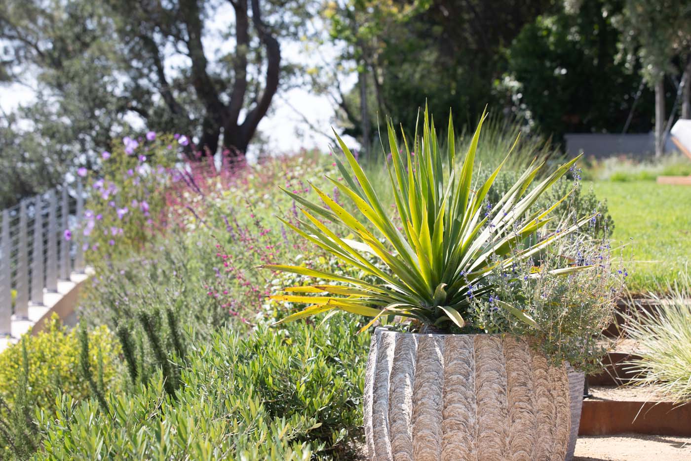 Timothy John LA - Hollywood Hills - Private residence 056