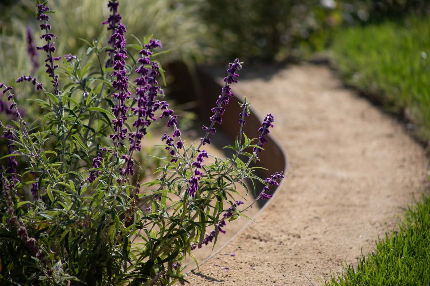 Timothy John LA - Hollywood Hills - Private residence 085